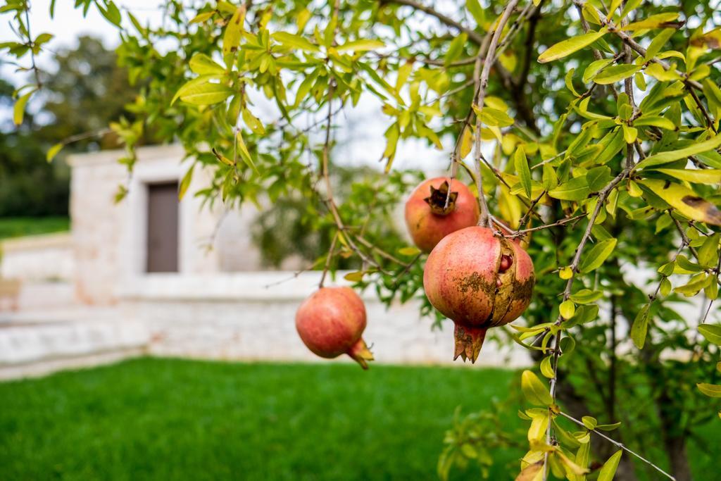 Masseria Paretano アルベロベッロ エクステリア 写真