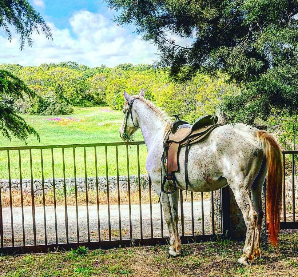Masseria Paretano アルベロベッロ エクステリア 写真