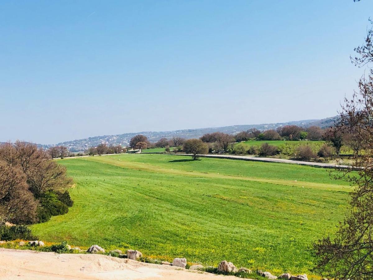 Masseria Paretano アルベロベッロ エクステリア 写真